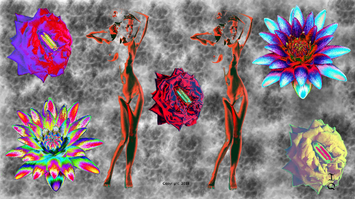 twins image
